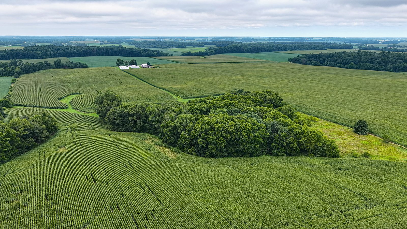 Property photo 5 - QUALITY LAND AUCTION - 219.75+/-ACRES OFFERED IN 7 TRACTS IN NOBLE COUNTY, INDIANA