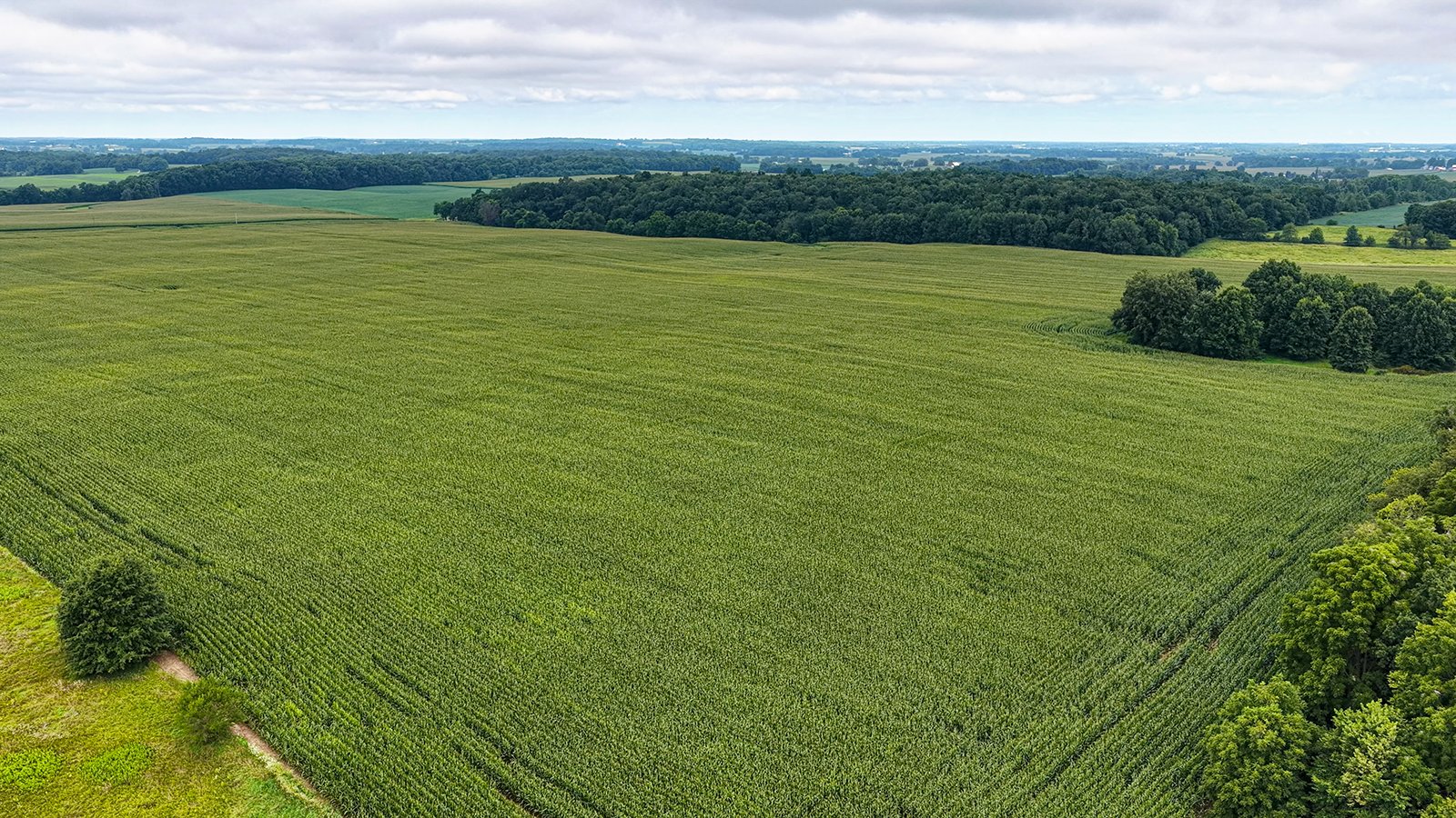 Property photo 6 - QUALITY LAND AUCTION - 219.75+/-ACRES OFFERED IN 7 TRACTS IN NOBLE COUNTY, INDIANA