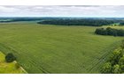 Property photo 6 - QUALITY LAND AUCTION - 219.75+/-ACRES OFFERED IN 7 TRACTS IN NOBLE COUNTY, INDIANA