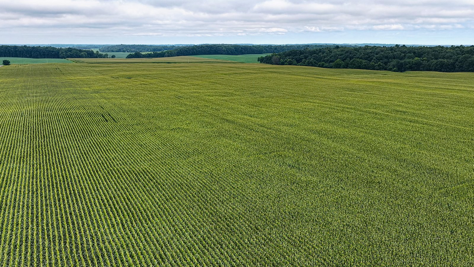 Property photo 11 - QUALITY LAND AUCTION - 219.75+/-ACRES OFFERED IN 7 TRACTS IN NOBLE COUNTY, INDIANA