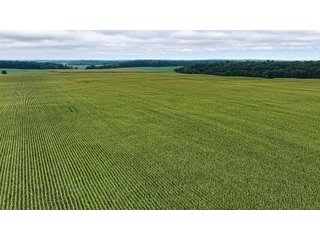 Property photo 11 - QUALITY LAND AUCTION - 219.75+/-ACRES OFFERED IN 7 TRACTS IN NOBLE COUNTY, INDIANA