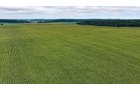 Property photo 11 - QUALITY LAND AUCTION - 219.75+/-ACRES OFFERED IN 7 TRACTS IN NOBLE COUNTY, INDIANA