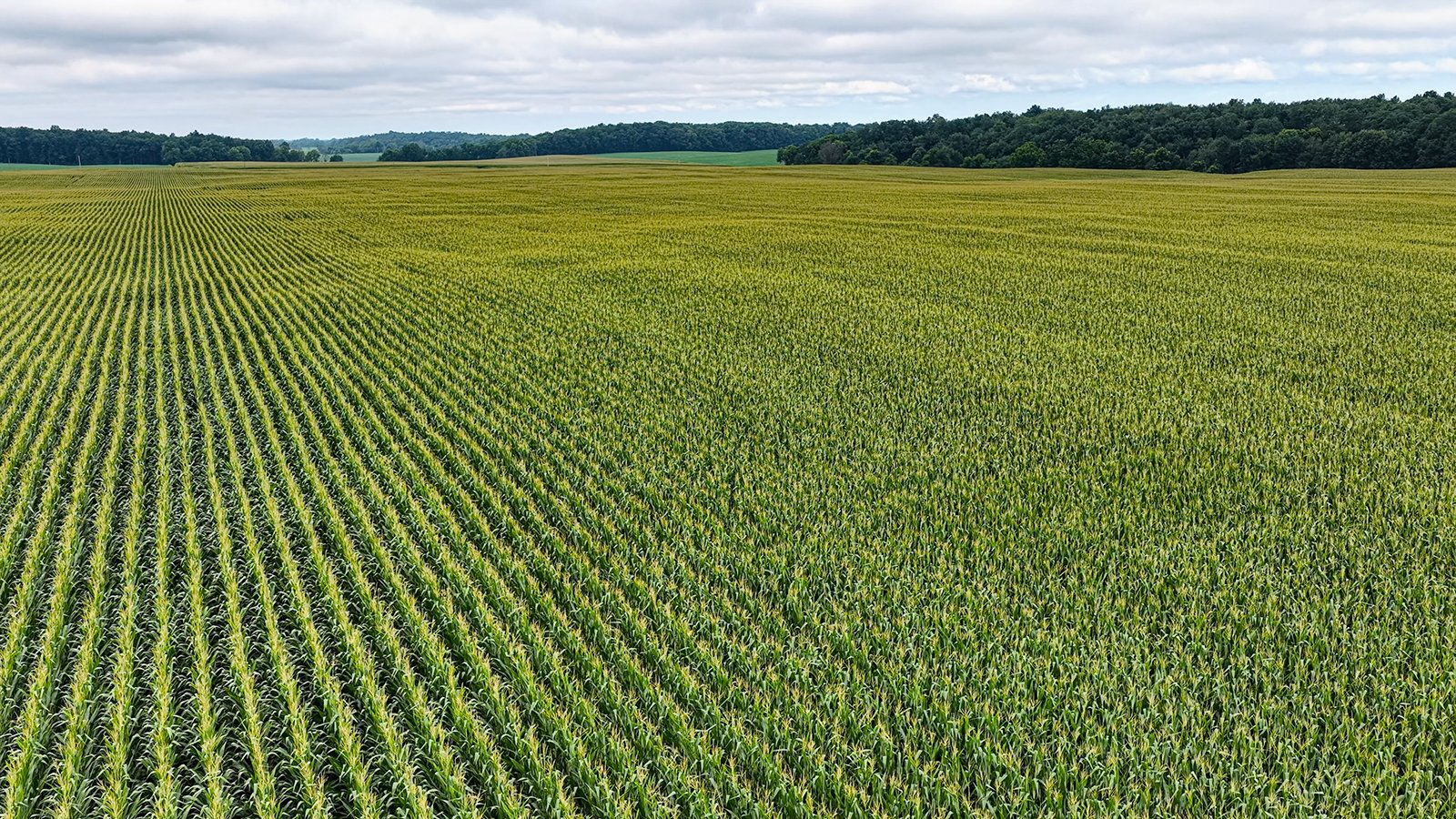 Property photo 14 - QUALITY LAND AUCTION - 219.75+/-ACRES OFFERED IN 7 TRACTS IN NOBLE COUNTY, INDIANA