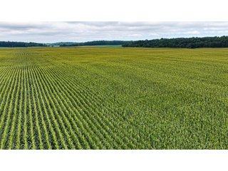 Property photo 15 - QUALITY LAND AUCTION - 219.75+/-ACRES OFFERED IN 7 TRACTS IN NOBLE COUNTY, INDIANA