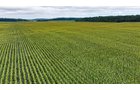Property photo 14 - QUALITY LAND AUCTION - 219.75+/-ACRES OFFERED IN 7 TRACTS IN NOBLE COUNTY, INDIANA