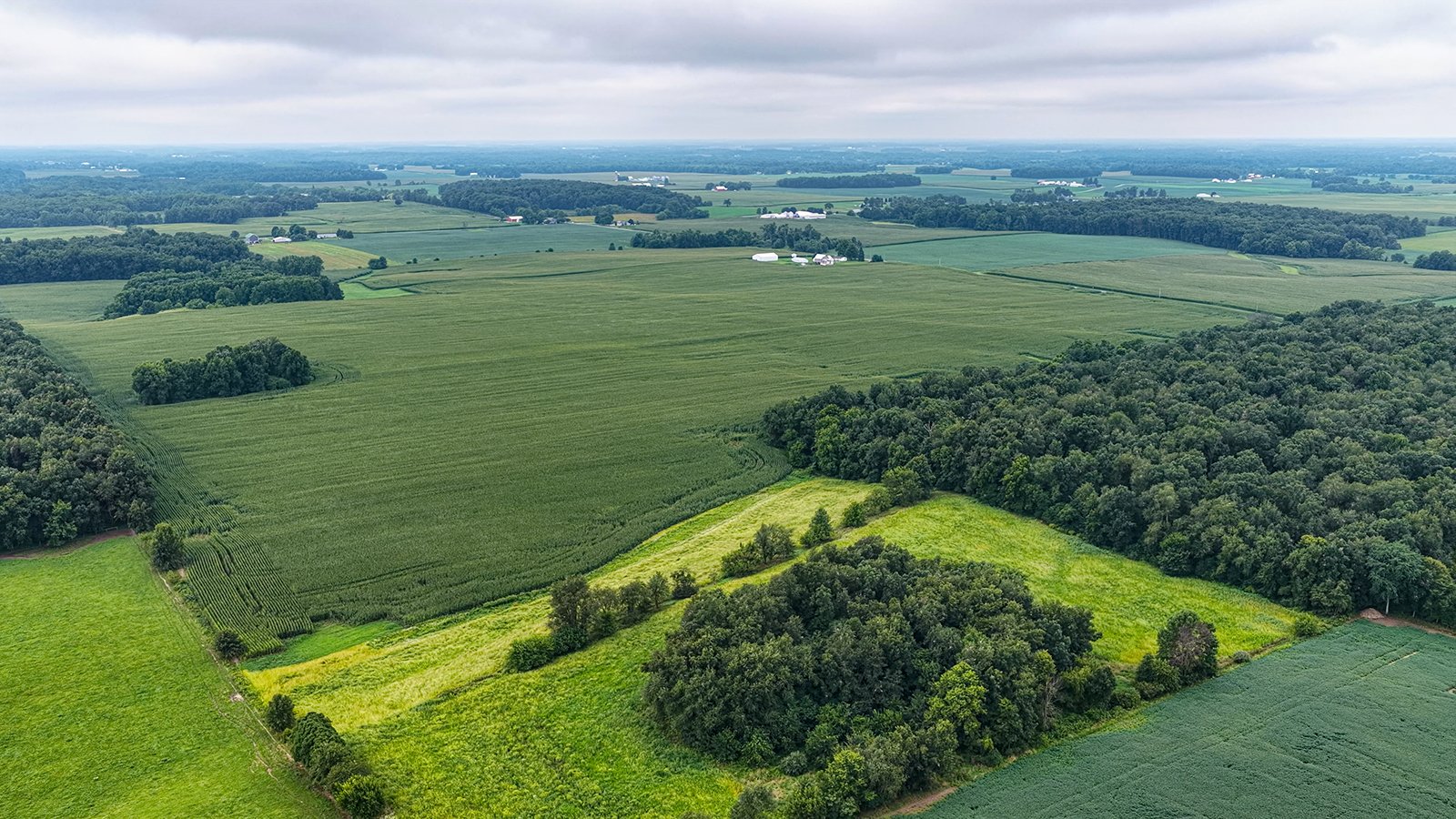 Property photo 7 - QUALITY LAND AUCTION - 219.75+/-ACRES OFFERED IN 7 TRACTS IN NOBLE COUNTY, INDIANA