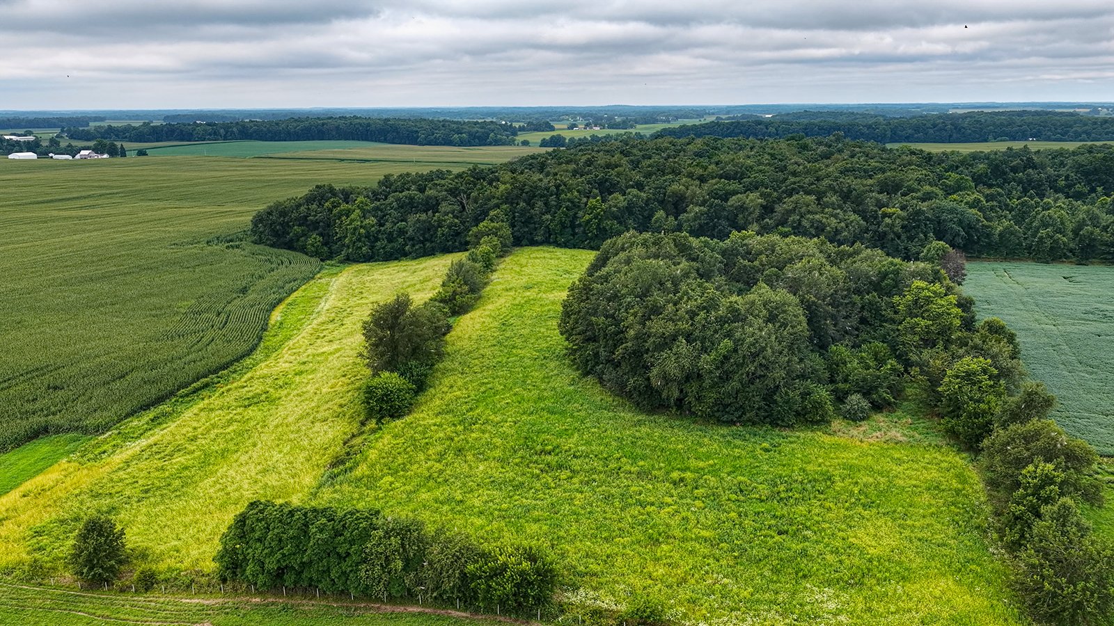 Property photo 8 - QUALITY LAND AUCTION - 219.75+/-ACRES OFFERED IN 7 TRACTS IN NOBLE COUNTY, INDIANA