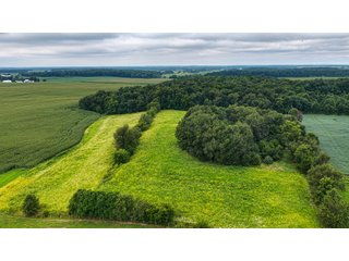 Property photo 8 - QUALITY LAND AUCTION - 219.75+/-ACRES OFFERED IN 7 TRACTS IN NOBLE COUNTY, INDIANA