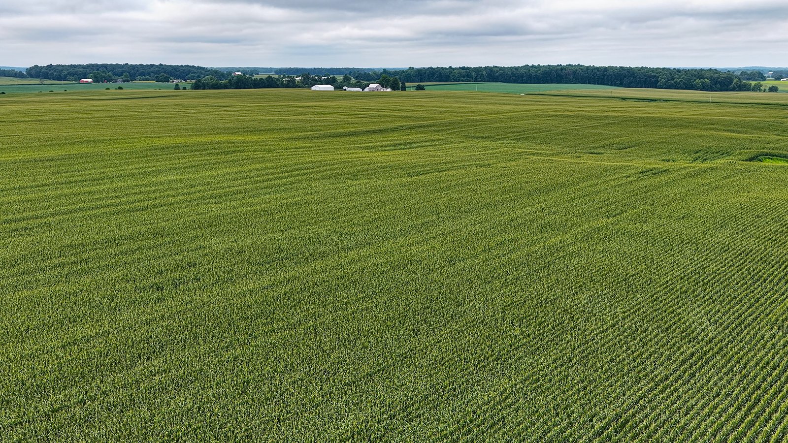 Property photo 12 - QUALITY LAND AUCTION - 219.75+/-ACRES OFFERED IN 7 TRACTS IN NOBLE COUNTY, INDIANA