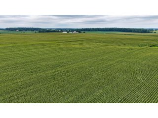 Property photo 13 - QUALITY LAND AUCTION - 219.75+/-ACRES OFFERED IN 7 TRACTS IN NOBLE COUNTY, INDIANA