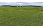Property photo 12 - QUALITY LAND AUCTION - 219.75+/-ACRES OFFERED IN 7 TRACTS IN NOBLE COUNTY, INDIANA