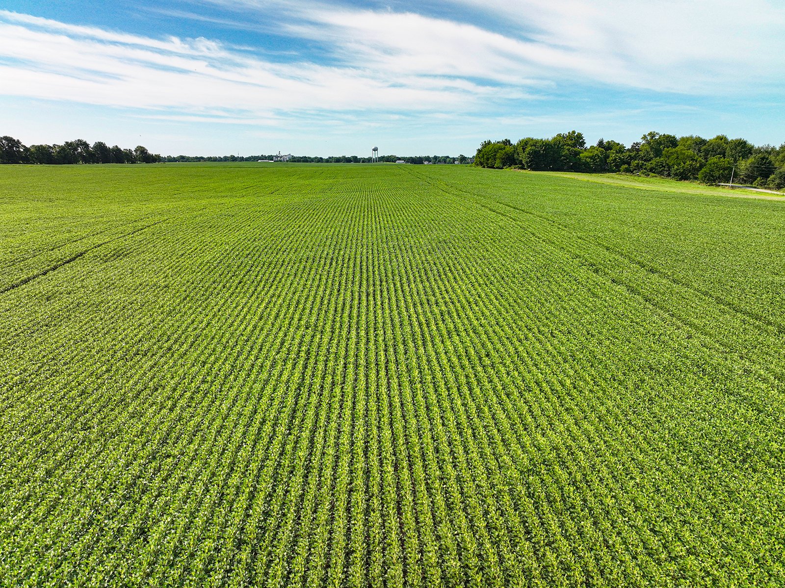 Property photo 2 - FARMLAND AUCTION - 30+/-ACRES OFFERED IN 2 TRACTS IN WHITLEY COUNTY, INDIANA