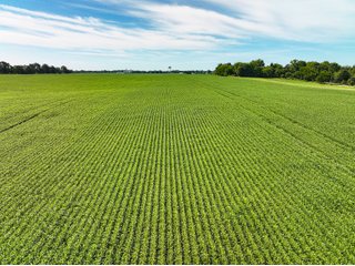 Property photo 2 - FARMLAND AUCTION - 30+/-ACRES OFFERED IN 2 TRACTS IN WHITLEY COUNTY, INDIANA
