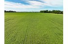 Property photo 2 - FARMLAND AUCTION - 30+/-ACRES OFFERED IN 2 TRACTS IN WHITLEY COUNTY, INDIANA
