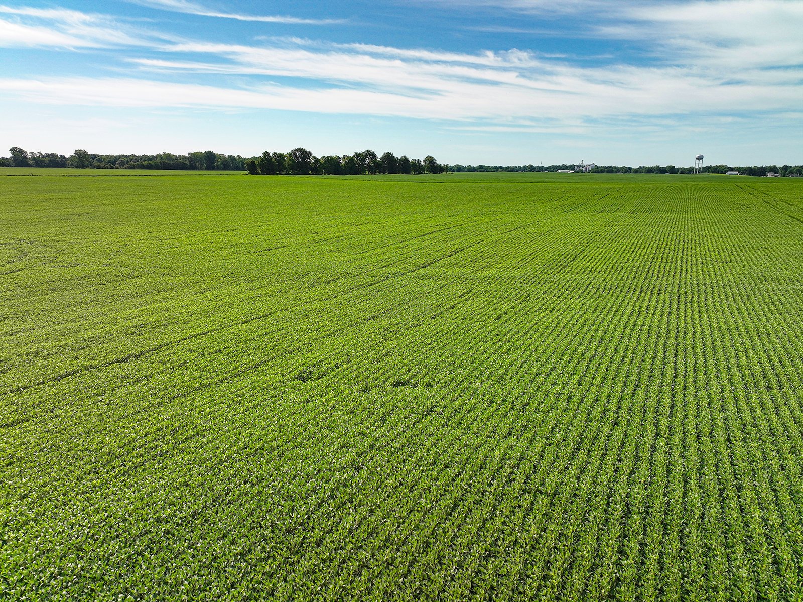 Property photo 20 - FARMLAND AUCTION - 30+/-ACRES OFFERED IN 2 TRACTS IN WHITLEY COUNTY, INDIANA