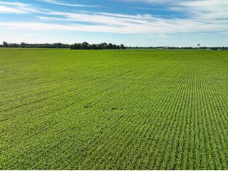 Property photo 20 - FARMLAND AUCTION - 30+/-ACRES OFFERED IN 2 TRACTS IN WHITLEY COUNTY, INDIANA
