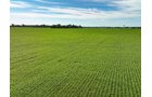 Property photo 20 - FARMLAND AUCTION - 30+/-ACRES OFFERED IN 2 TRACTS IN WHITLEY COUNTY, INDIANA