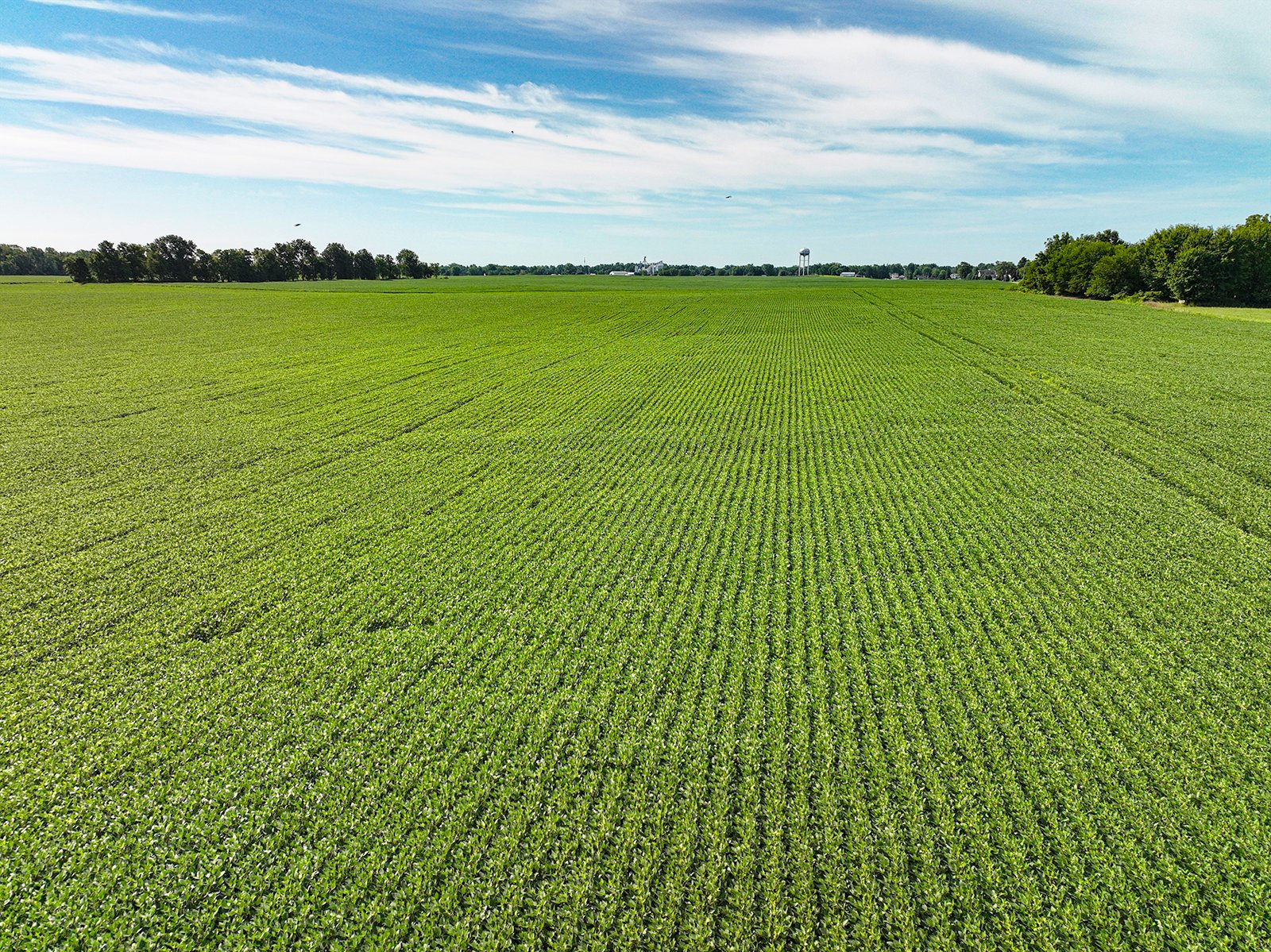 Property photo 19 - FARMLAND AUCTION - 30+/-ACRES OFFERED IN 2 TRACTS IN WHITLEY COUNTY, INDIANA