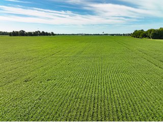 Property photo 19 - FARMLAND AUCTION - 30+/-ACRES OFFERED IN 2 TRACTS IN WHITLEY COUNTY, INDIANA