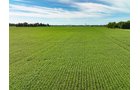 Property photo 19 - FARMLAND AUCTION - 30+/-ACRES OFFERED IN 2 TRACTS IN WHITLEY COUNTY, INDIANA