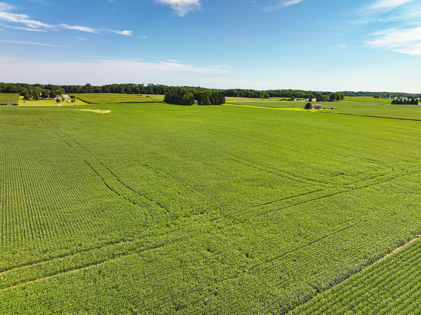 Property photo 18 - FARMLAND AUCTION - 30+/-ACRES OFFERED IN 2 TRACTS IN WHITLEY COUNTY, INDIANA