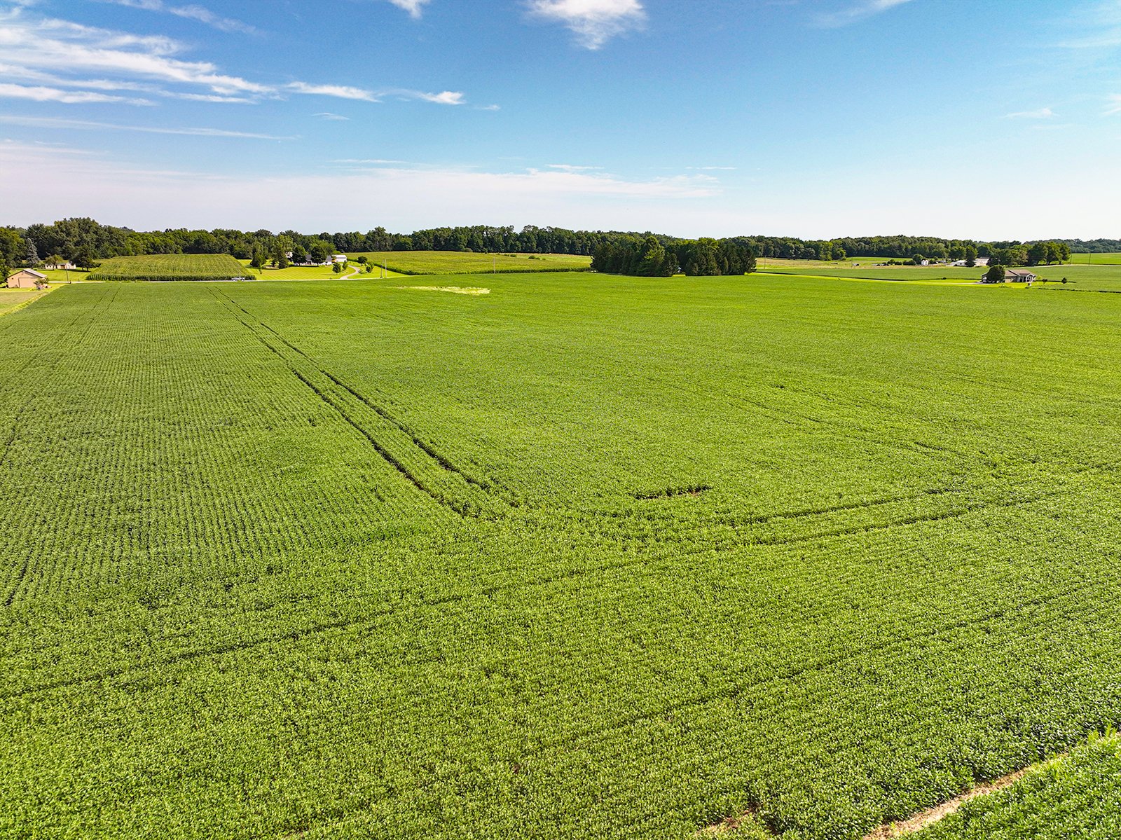 Property photo 17 - FARMLAND AUCTION - 30+/-ACRES OFFERED IN 2 TRACTS IN WHITLEY COUNTY, INDIANA