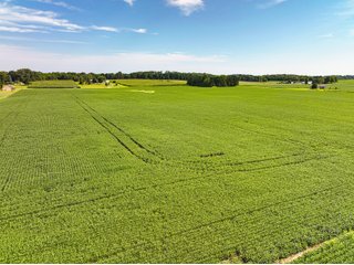 Property photo 17 - FARMLAND AUCTION - 30+/-ACRES OFFERED IN 2 TRACTS IN WHITLEY COUNTY, INDIANA
