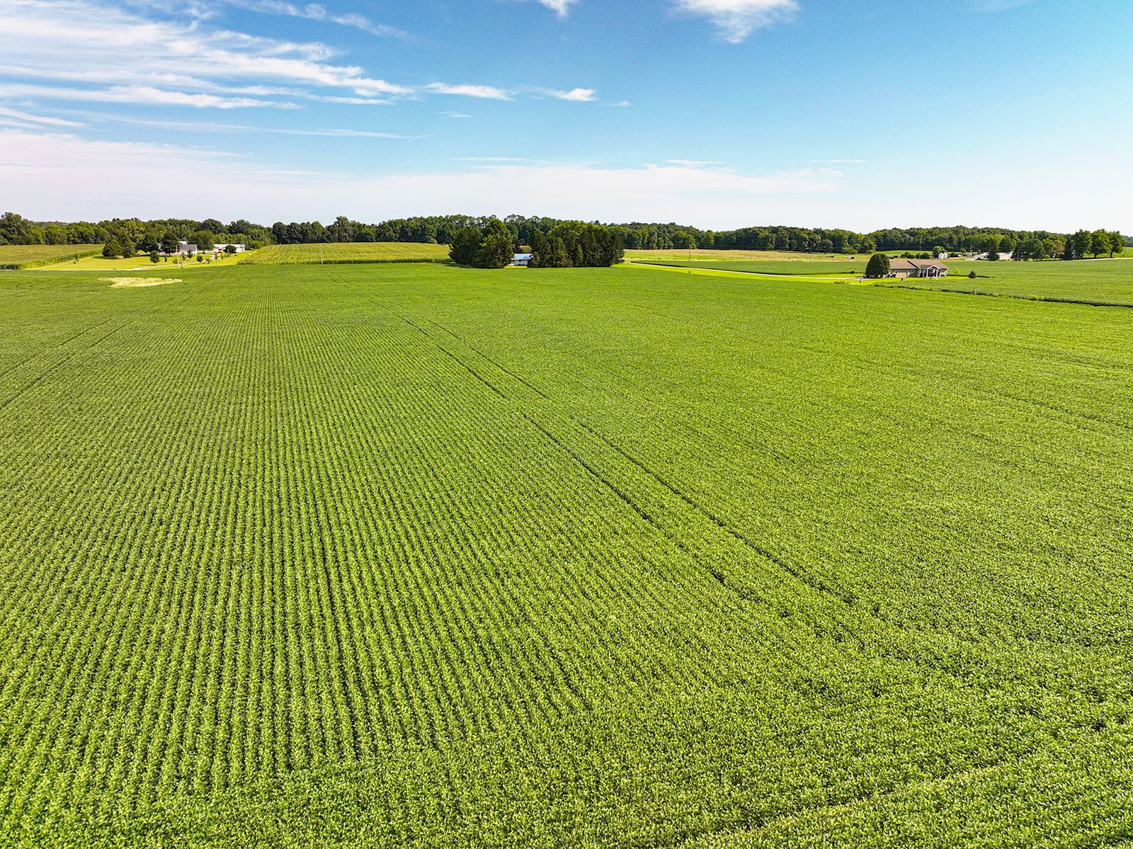 Property photo 16 - FARMLAND AUCTION - 30+/-ACRES OFFERED IN 2 TRACTS IN WHITLEY COUNTY, INDIANA