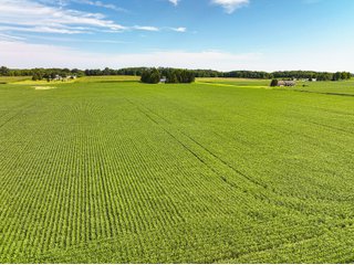 Property photo 16 - FARMLAND AUCTION - 30+/-ACRES OFFERED IN 2 TRACTS IN WHITLEY COUNTY, INDIANA