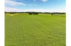 Property photo 16 - FARMLAND AUCTION - 30+/-ACRES OFFERED IN 2 TRACTS IN WHITLEY COUNTY, INDIANA
