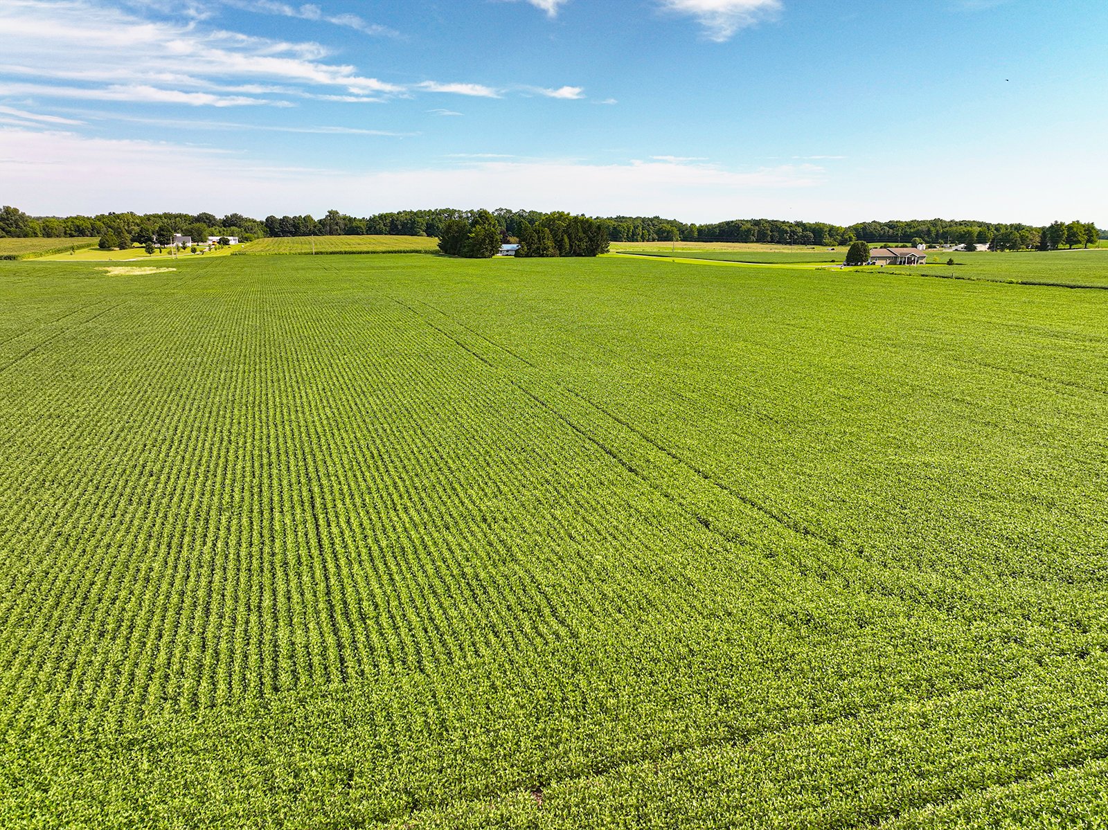 Property photo 15 - FARMLAND AUCTION - 30+/-ACRES OFFERED IN 2 TRACTS IN WHITLEY COUNTY, INDIANA