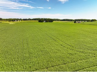 Property photo 15 - FARMLAND AUCTION - 30+/-ACRES OFFERED IN 2 TRACTS IN WHITLEY COUNTY, INDIANA