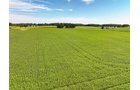 Property photo 15 - FARMLAND AUCTION - 30+/-ACRES OFFERED IN 2 TRACTS IN WHITLEY COUNTY, INDIANA