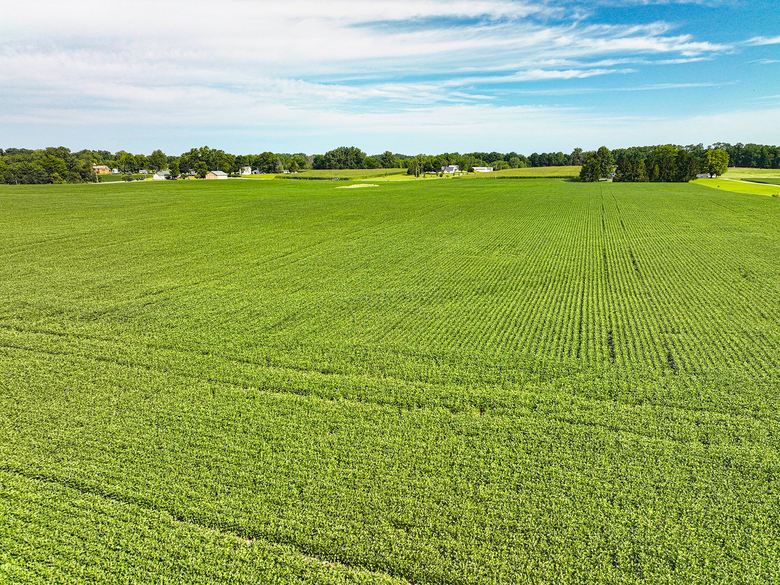 Property photo 3 - FARMLAND AUCTION - 30+/-ACRES OFFERED IN 2 TRACTS IN WHITLEY COUNTY, INDIANA