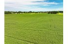 Property photo 3 - FARMLAND AUCTION - 30+/-ACRES OFFERED IN 2 TRACTS IN WHITLEY COUNTY, INDIANA