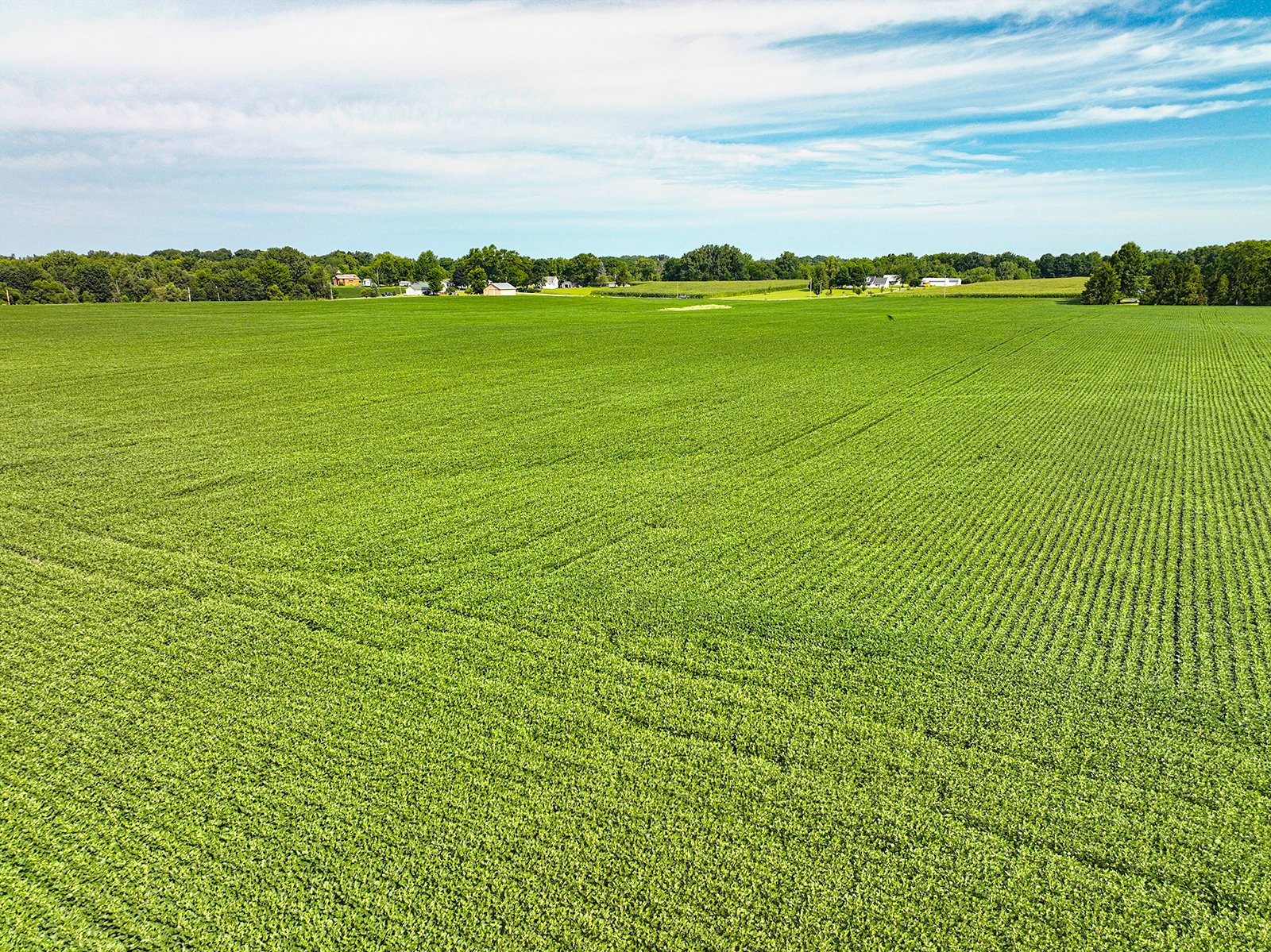 Property photo 14 - FARMLAND AUCTION - 30+/-ACRES OFFERED IN 2 TRACTS IN WHITLEY COUNTY, INDIANA