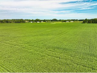 Property photo 13 - FARMLAND AUCTION - 30+/-ACRES OFFERED IN 2 TRACTS IN WHITLEY COUNTY, INDIANA