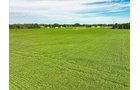 Property photo 14 - FARMLAND AUCTION - 30+/-ACRES OFFERED IN 2 TRACTS IN WHITLEY COUNTY, INDIANA