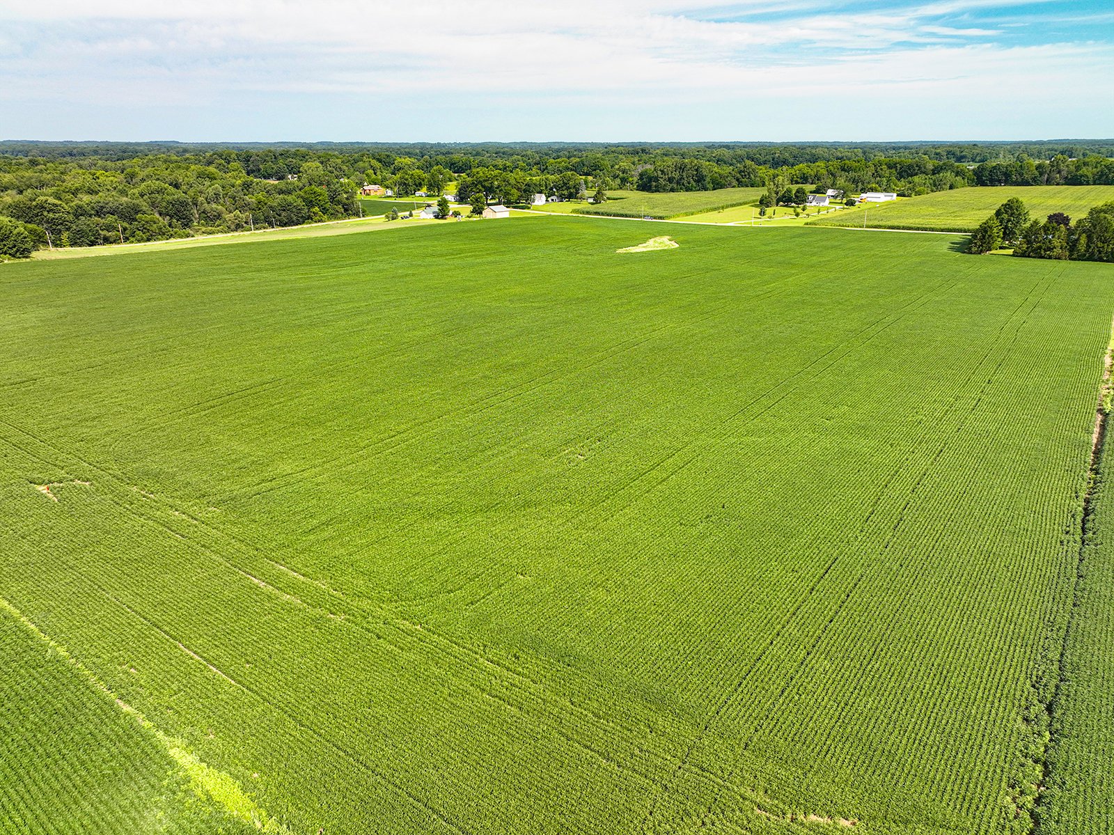 Property photo 1 - FARMLAND AUCTION - 30+/-ACRES OFFERED IN 2 TRACTS IN WHITLEY COUNTY, INDIANA