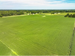 Property photo 1 - FARMLAND AUCTION - 30+/-ACRES OFFERED IN 2 TRACTS IN WHITLEY COUNTY, INDIANA
