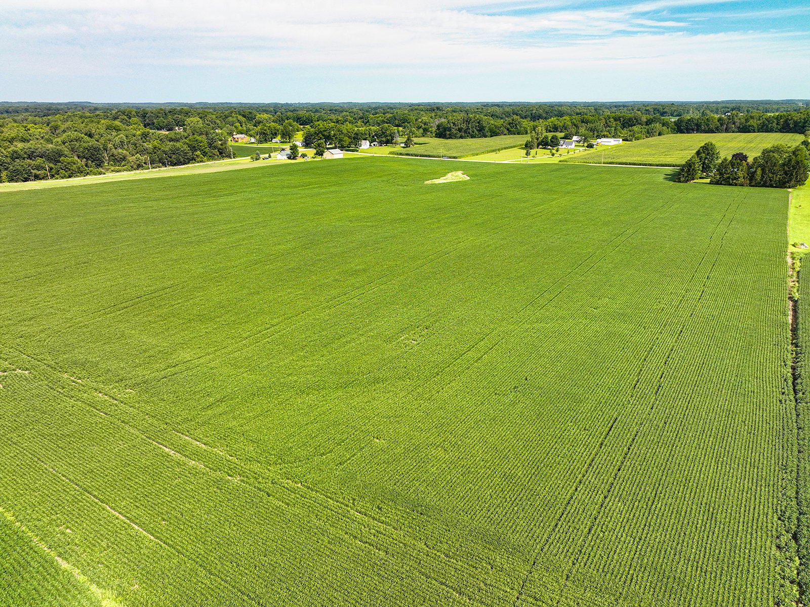 Property photo 13 - FARMLAND AUCTION - 30+/-ACRES OFFERED IN 2 TRACTS IN WHITLEY COUNTY, INDIANA