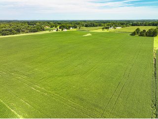 Property photo 3 - FARMLAND AUCTION - 30+/-ACRES OFFERED IN 2 TRACTS IN WHITLEY COUNTY, INDIANA