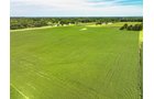 Property photo 13 - FARMLAND AUCTION - 30+/-ACRES OFFERED IN 2 TRACTS IN WHITLEY COUNTY, INDIANA