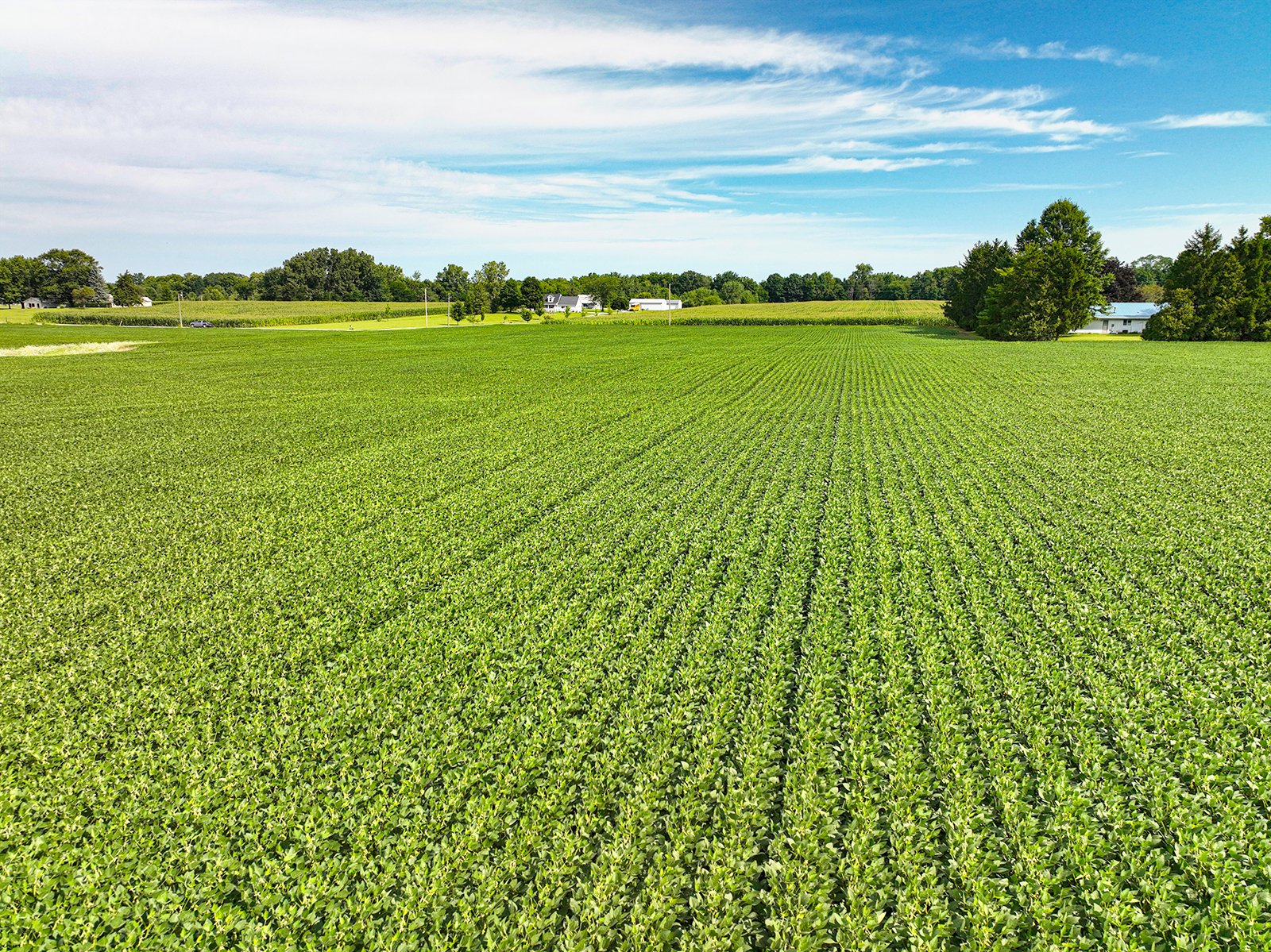 Property photo 12 - FARMLAND AUCTION - 30+/-ACRES OFFERED IN 2 TRACTS IN WHITLEY COUNTY, INDIANA