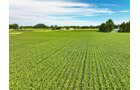 Property photo 12 - FARMLAND AUCTION - 30+/-ACRES OFFERED IN 2 TRACTS IN WHITLEY COUNTY, INDIANA