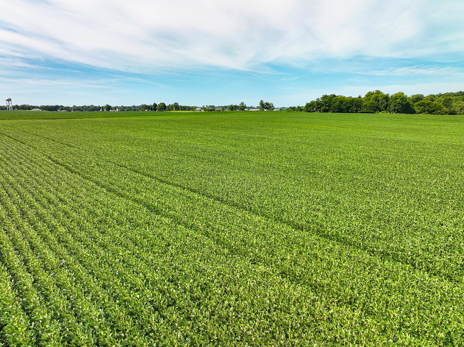 Property photo 11 - FARMLAND AUCTION - 30+/-ACRES OFFERED IN 2 TRACTS IN WHITLEY COUNTY, INDIANA