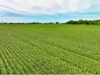Property photo 11 - FARMLAND AUCTION - 30+/-ACRES OFFERED IN 2 TRACTS IN WHITLEY COUNTY, INDIANA