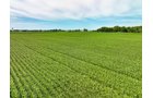 Property photo 11 - FARMLAND AUCTION - 30+/-ACRES OFFERED IN 2 TRACTS IN WHITLEY COUNTY, INDIANA