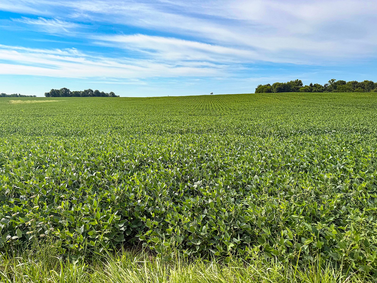 Property photo 8 - FARMLAND AUCTION - 30+/-ACRES OFFERED IN 2 TRACTS IN WHITLEY COUNTY, INDIANA