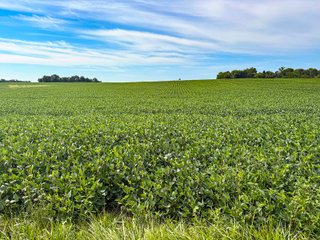 Property photo 8 - FARMLAND AUCTION - 30+/-ACRES OFFERED IN 2 TRACTS IN WHITLEY COUNTY, INDIANA